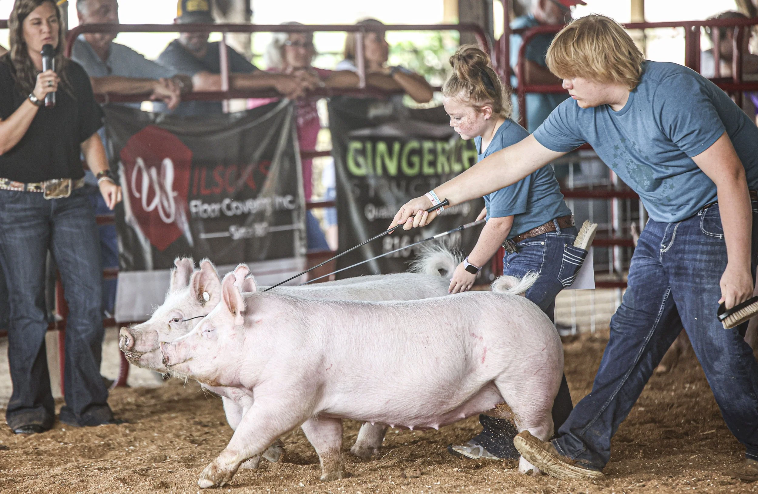 Swine Show.jpg