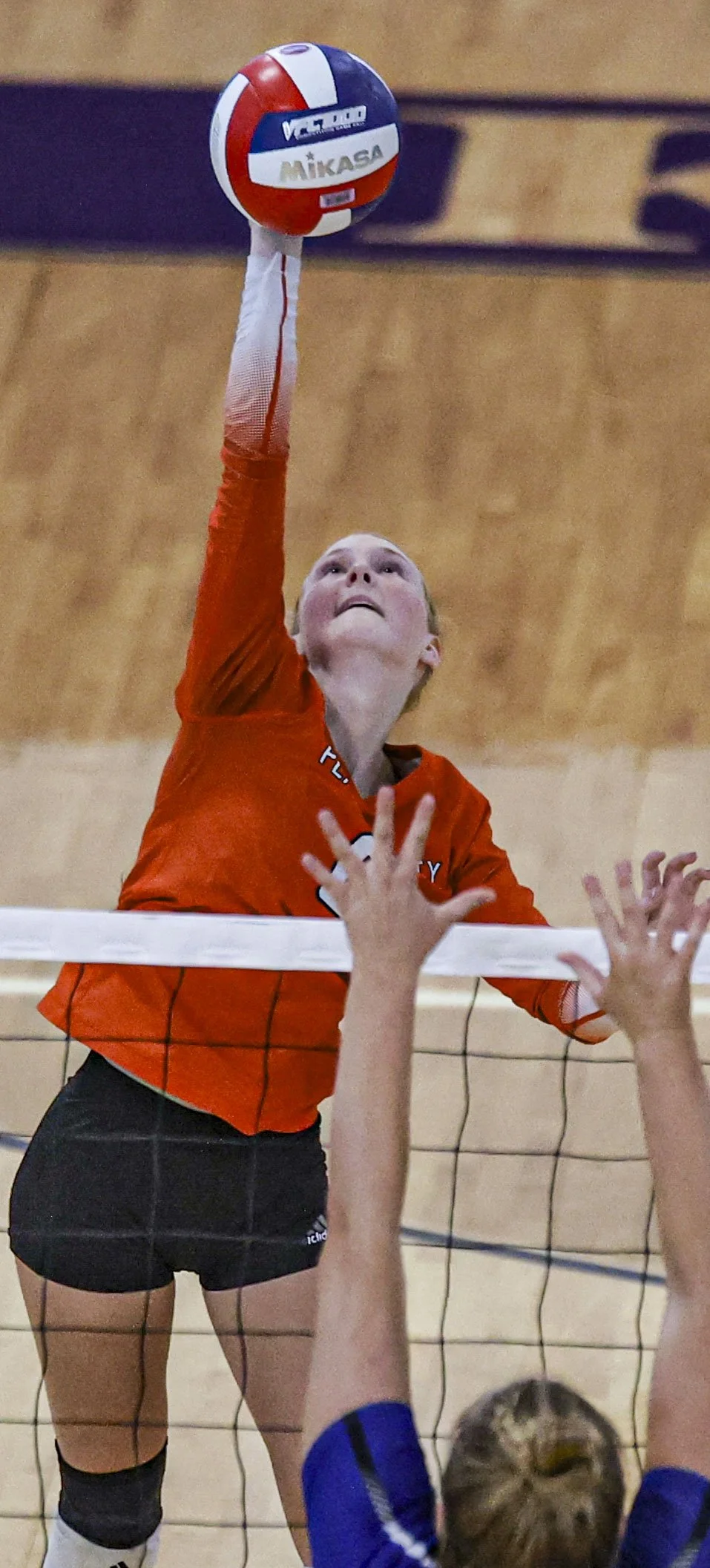 Carissa Bacon_1.jpg