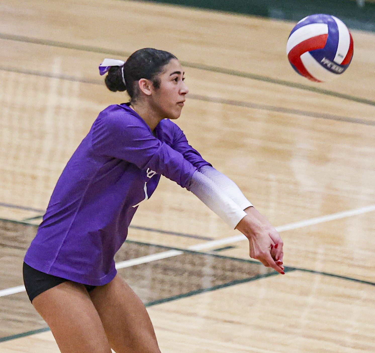 Sydni Lafasciano_4.jpg