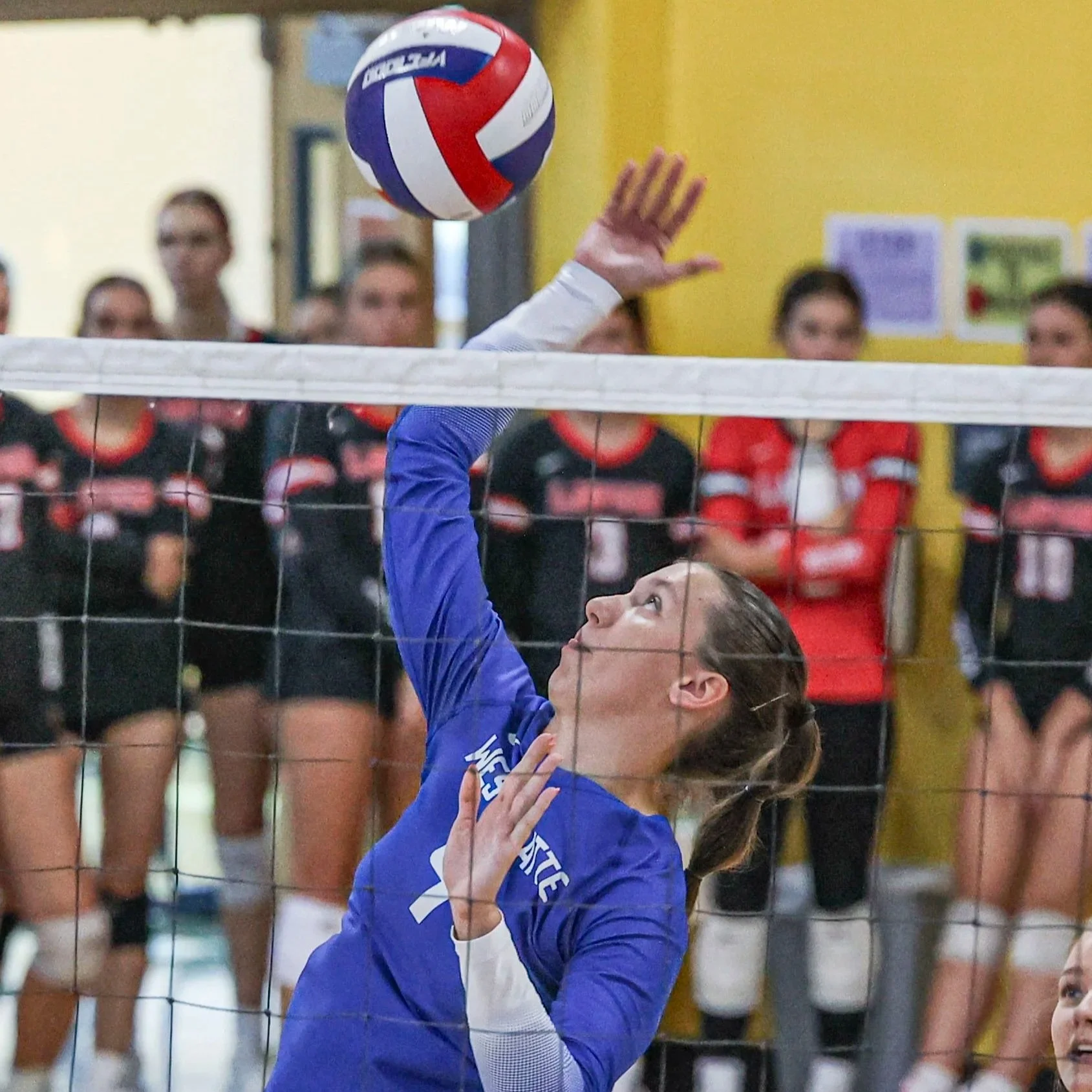Blue Jays volleyball re-energized for new season