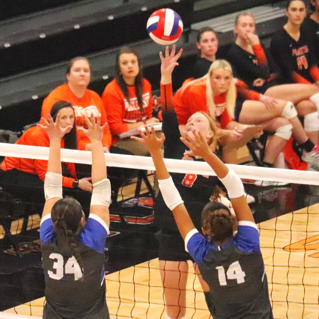 Pirates volleyball seeing progress