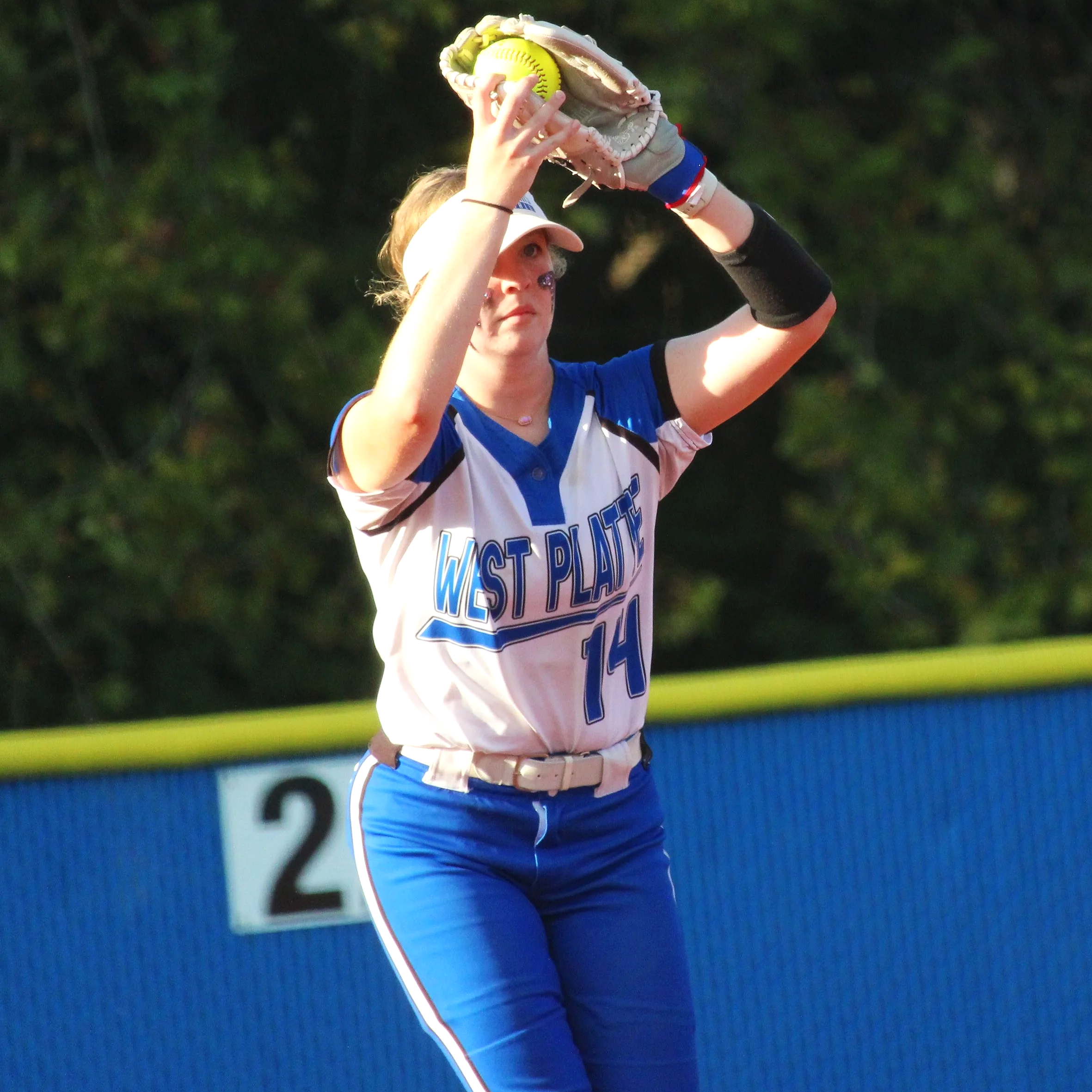 Grier, Cline help Blue Jays rally past Panthers