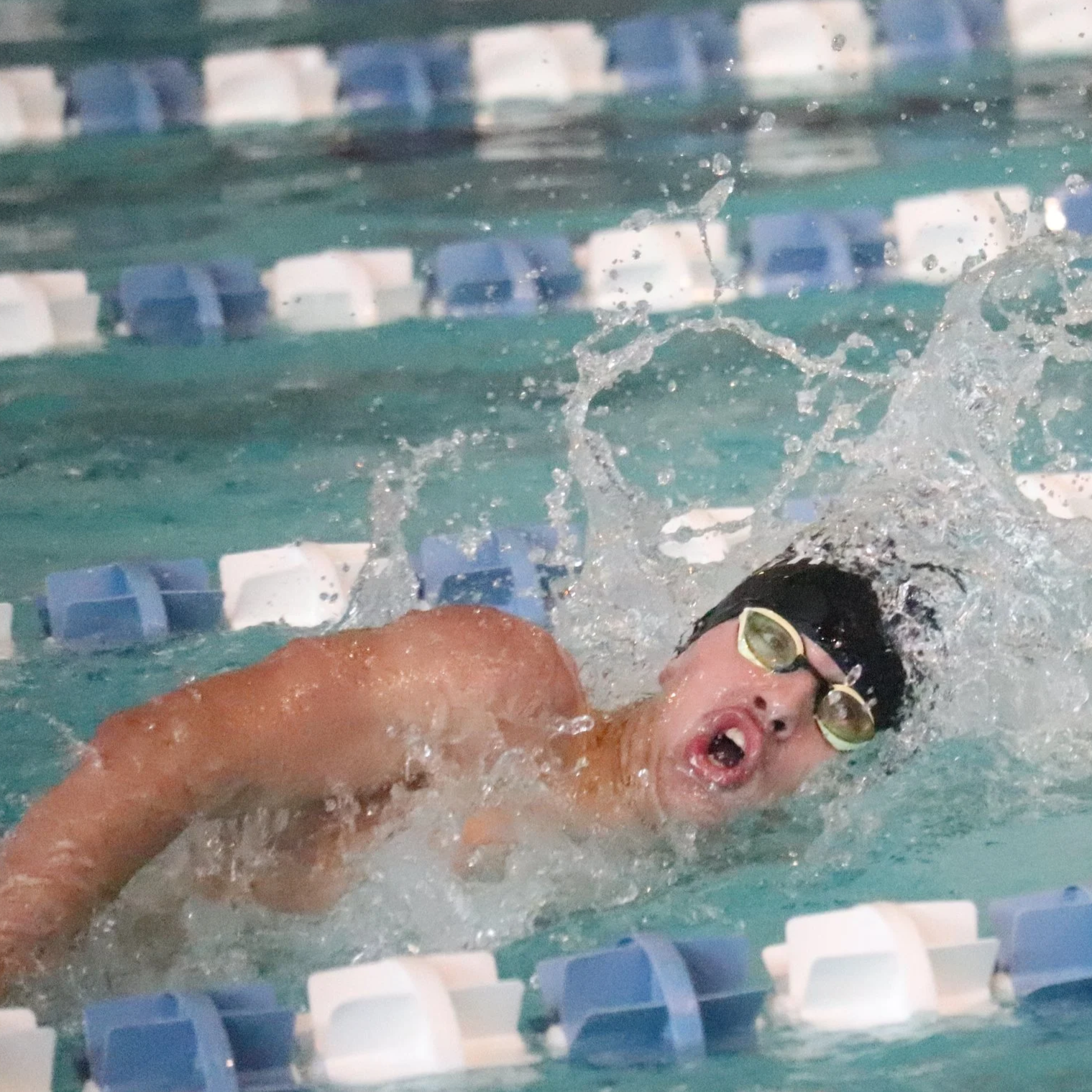 Trojans, Panthers swim for top-3 finishes at conference