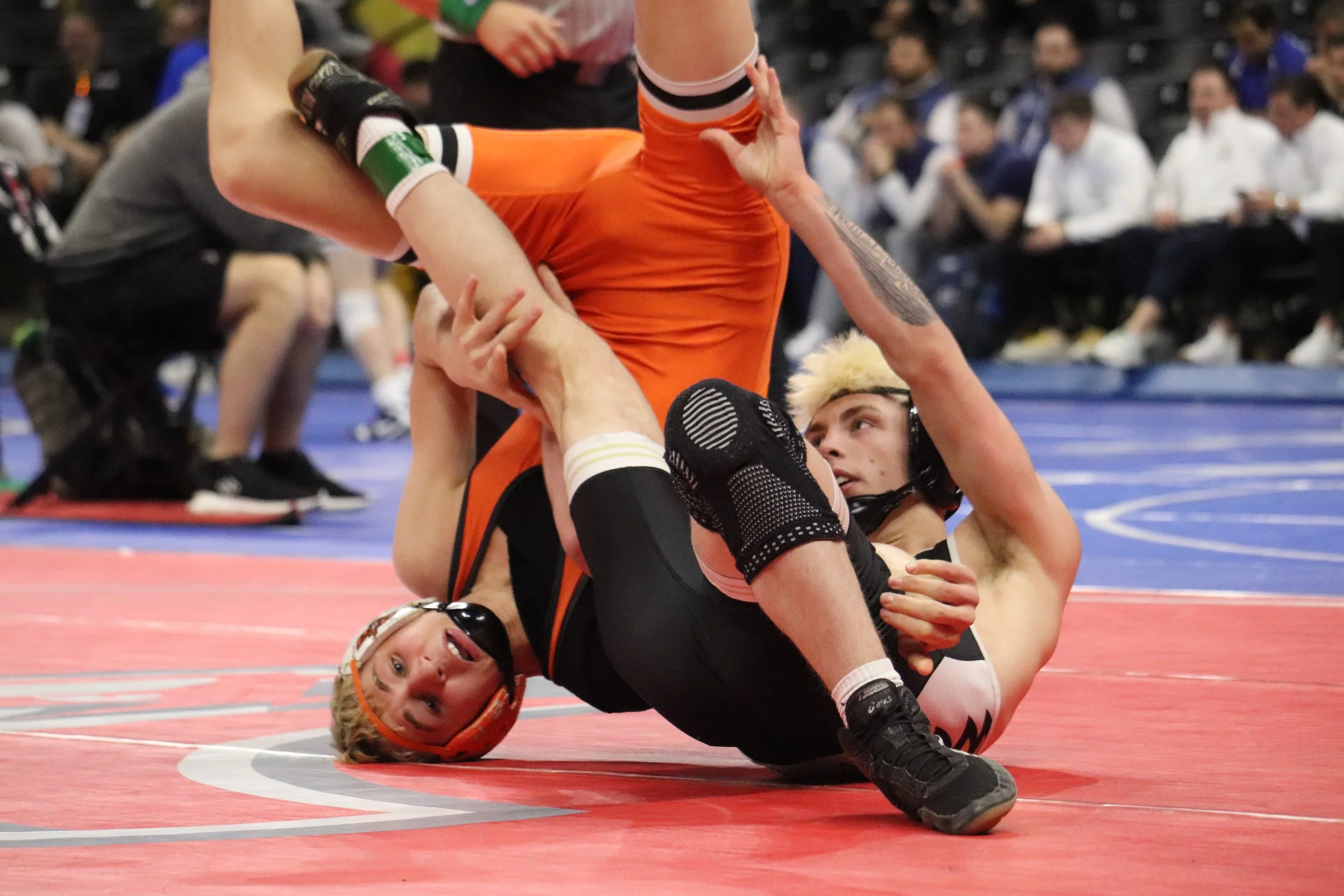 State Wrestling 2.27.2026 (2330).JPG