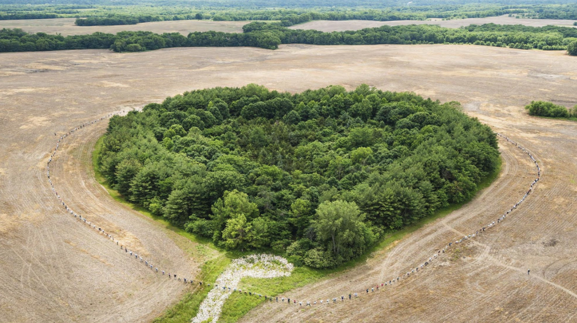 Foundation works to restore unique forest