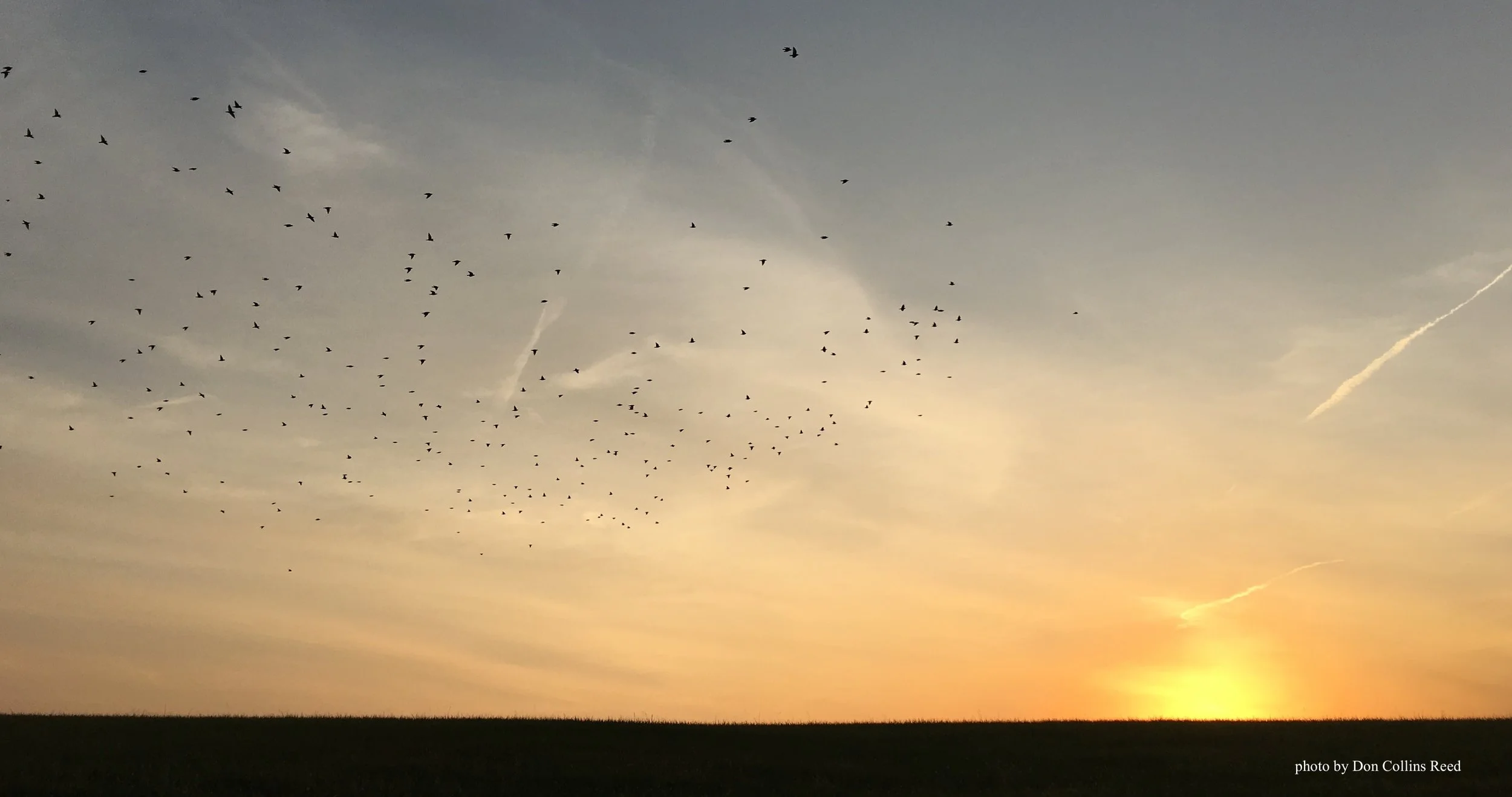 On Defining Morality in Moral Psychology – Don Collins Reed