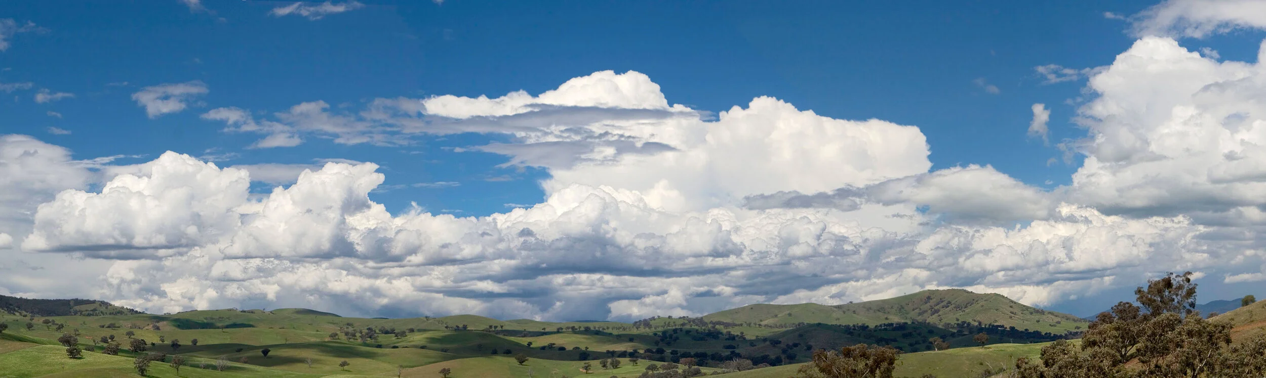Cumulus_clouds_panorama.jpg
