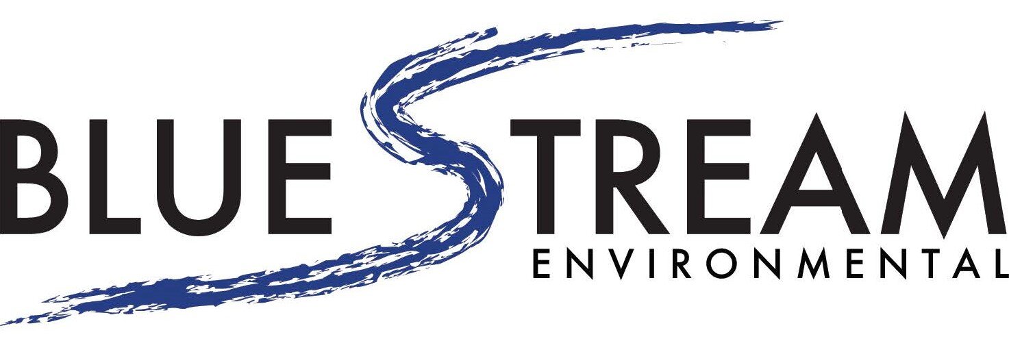 Blue Stream Environmental logo.jpg