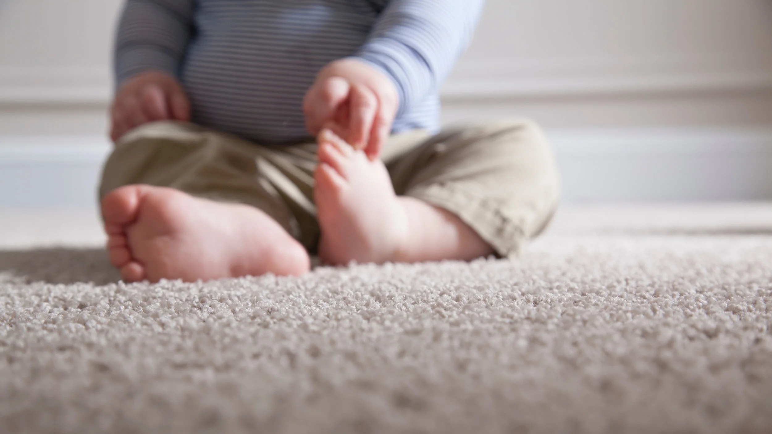 Cleaning — Pars Rugs & Flooring of Portsmouth