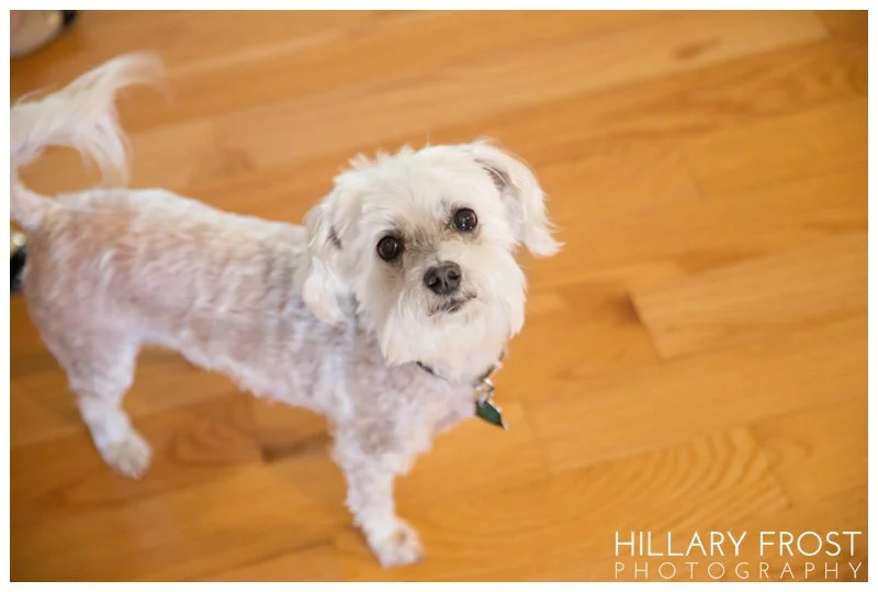 Hillary Frost Photography_2487