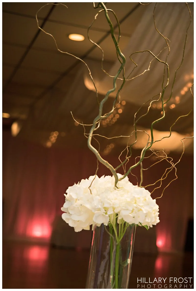 Hillary Frost Photography_2529