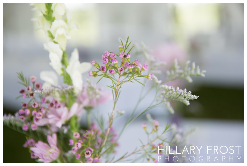 Hillary Frost Photography_4283.jpg