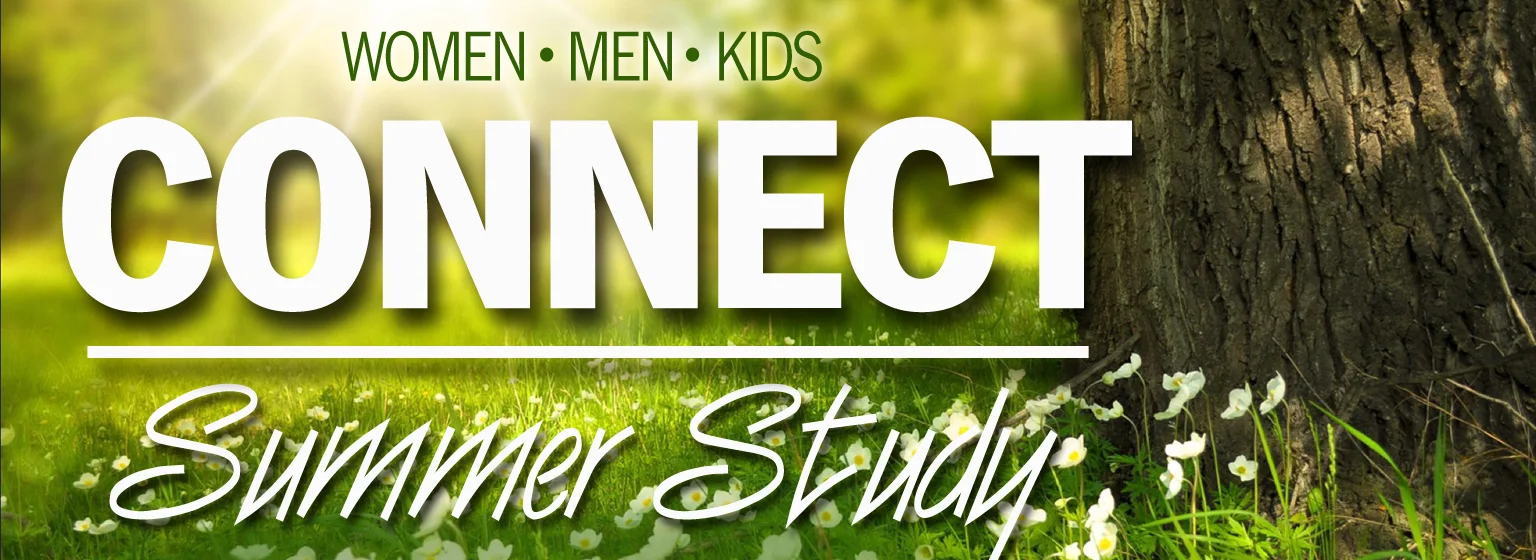Summer Connect banner.jpg