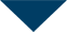 navy-arrow.png