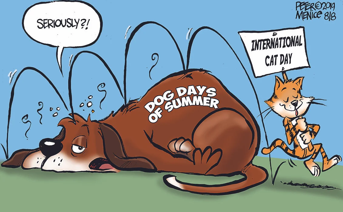 Dog Daze.jpg