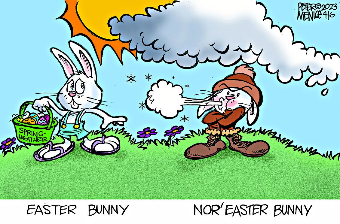 Nor Bunny.jpg