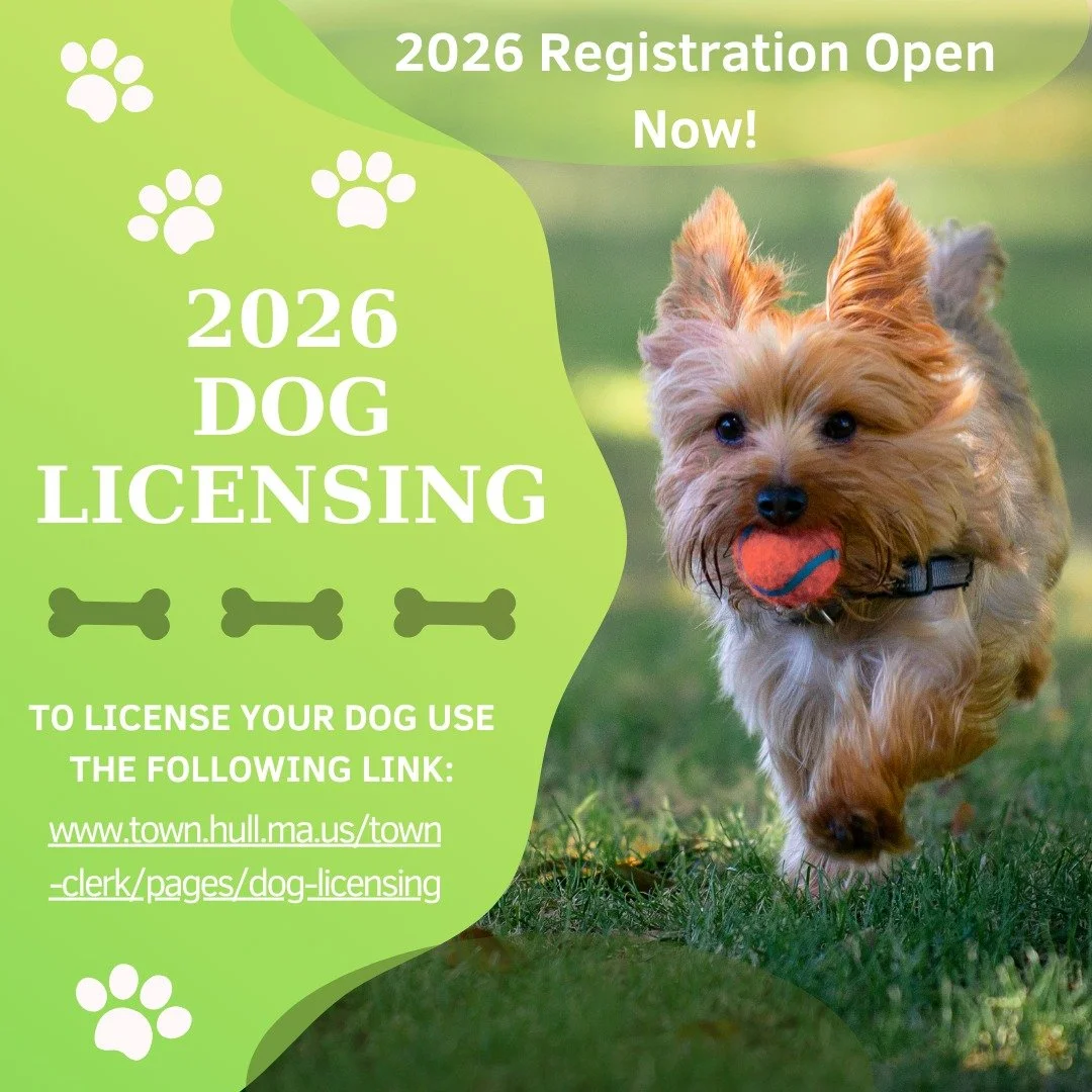 Dogs six months or older must be registered annually in the Massachusetts. The license period is from January 1 - December 31; spayed/neutered= $12; all others $17.
License fees are waived for dog owners 70+. You can renew in person at the town clerk