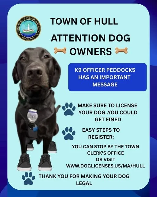 For more information, visit www.town.hull.ma.us/town-clerk/pages/dog-licensing

 #hullma #hullmanews #nantasket #MALocalNews #hulltimes #southshorenews