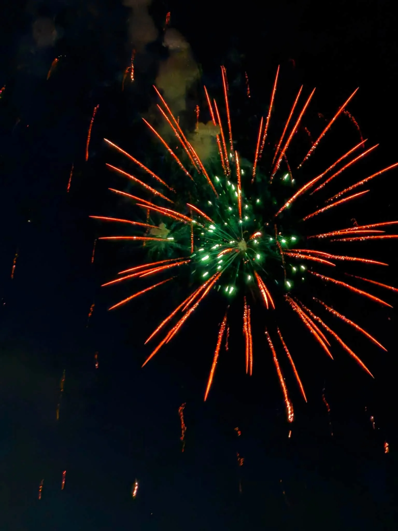 Fireworks-Ann G.jpg