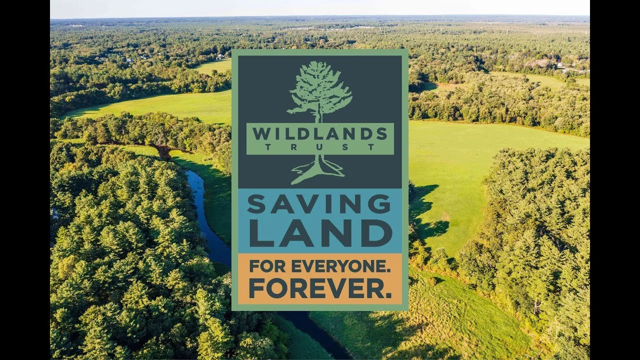 wildlands trust image.jpg