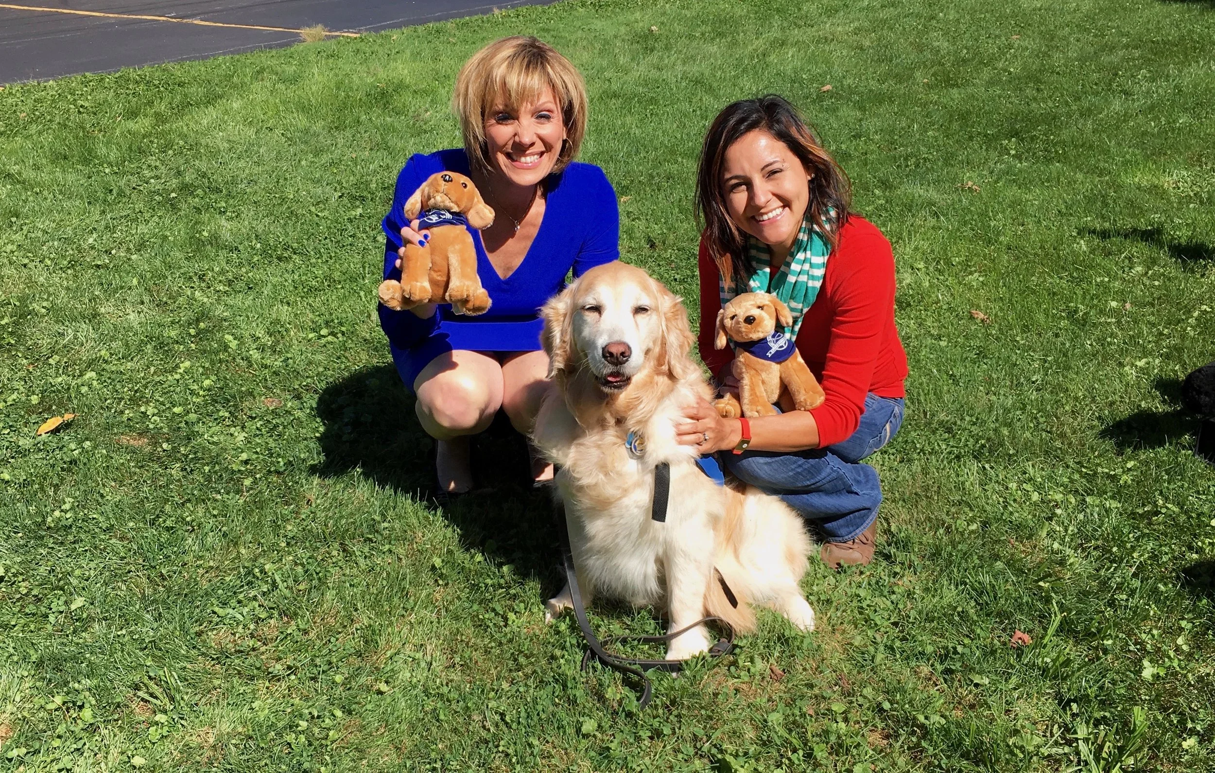 Sandra comfort dog.jpg