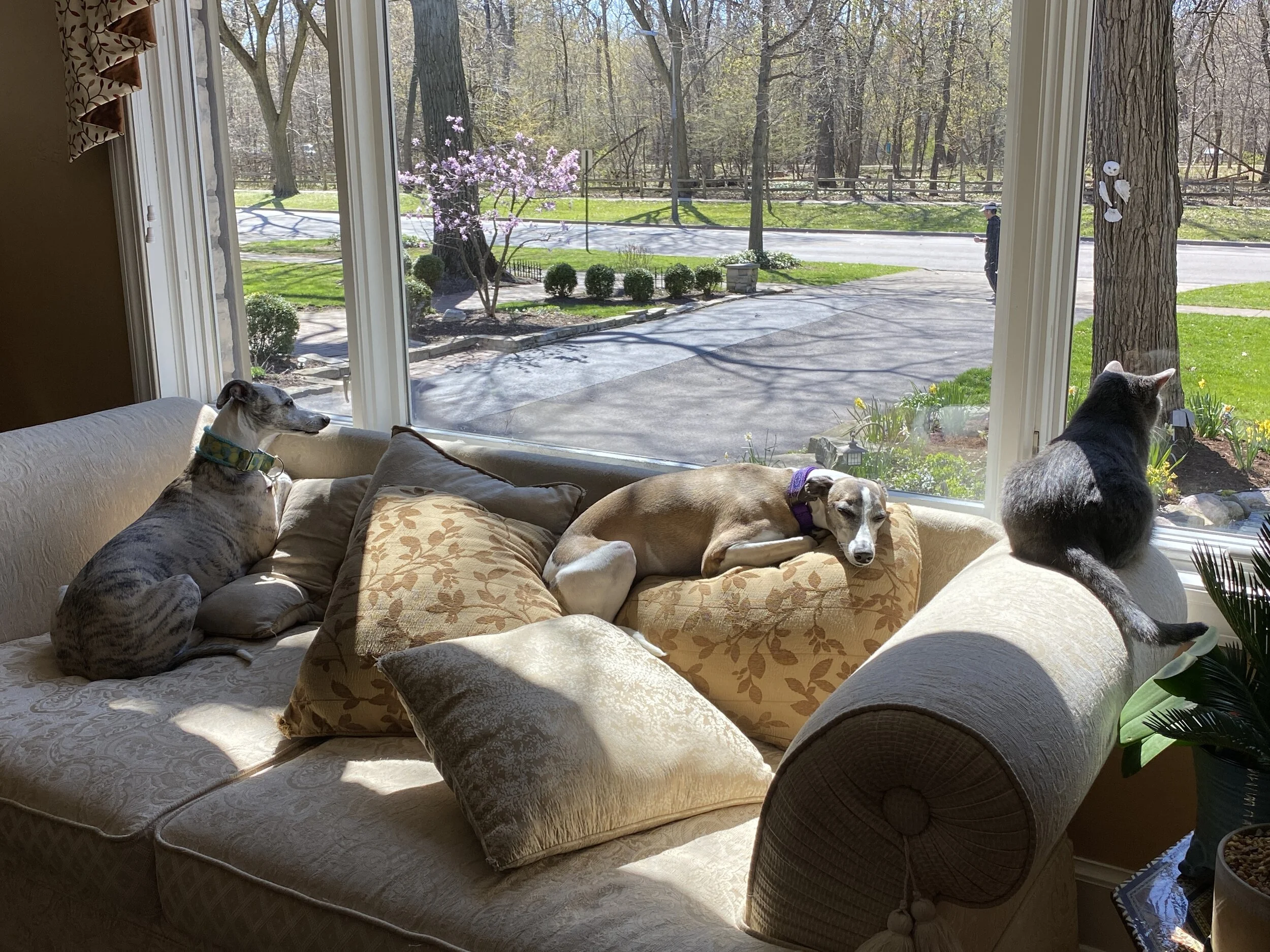 On The Road to Five More Weeks