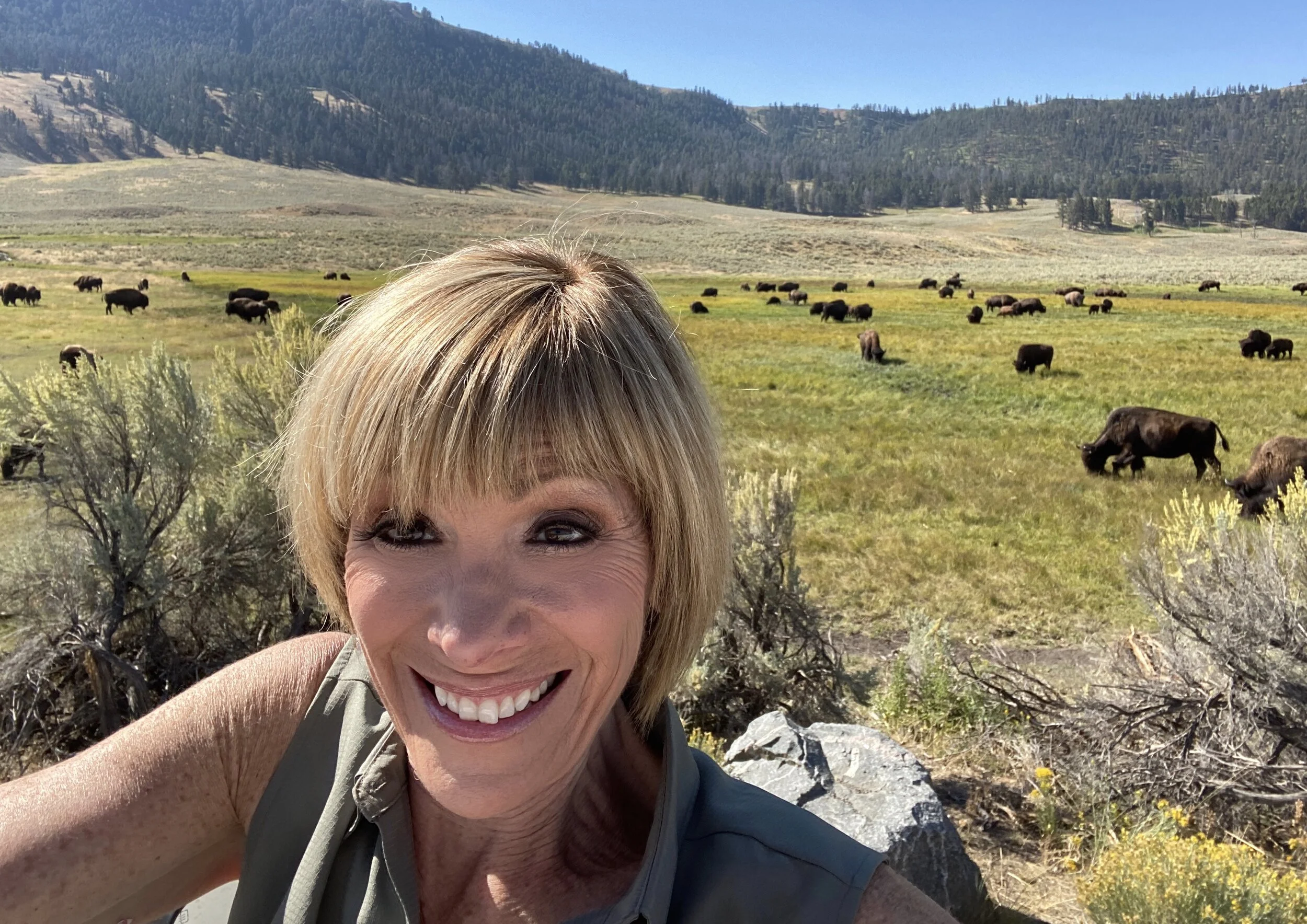 On The Road to Fort Yellowstone and a Lot of Wildlife