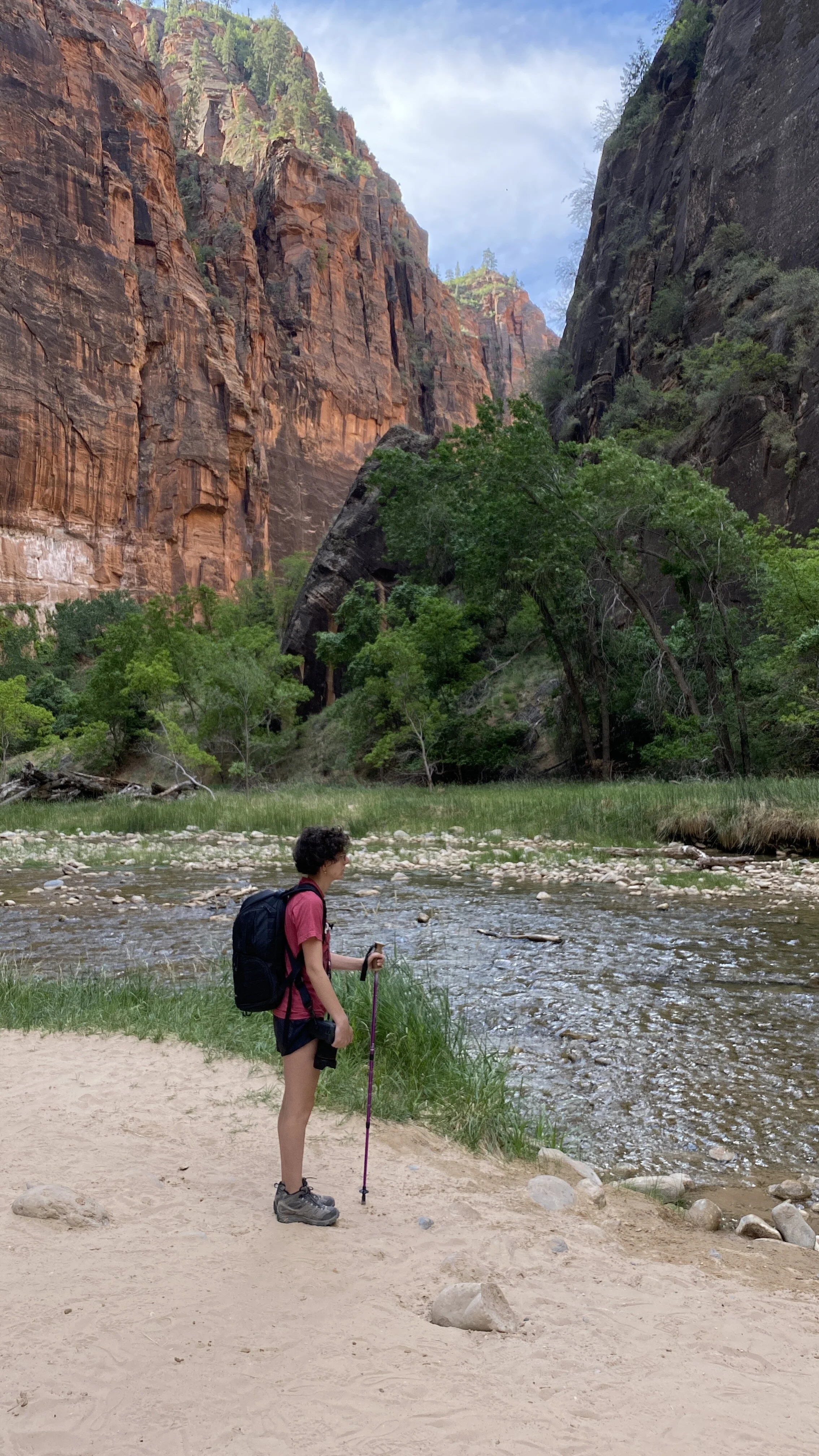 On The Road to Zion Canyon Scenic Drive