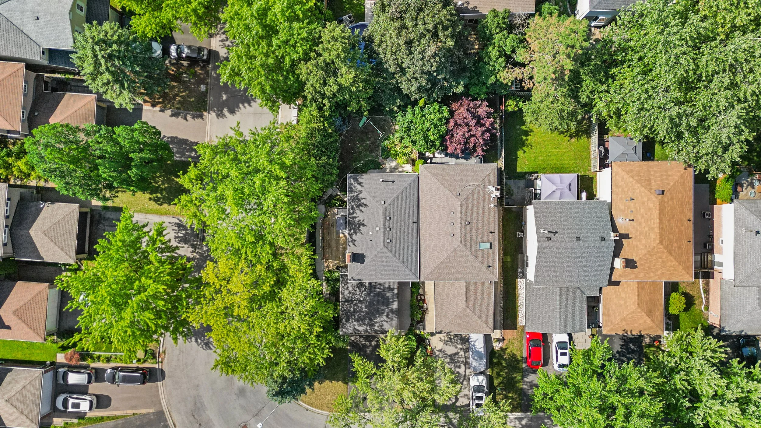 DJI_0872.jpg