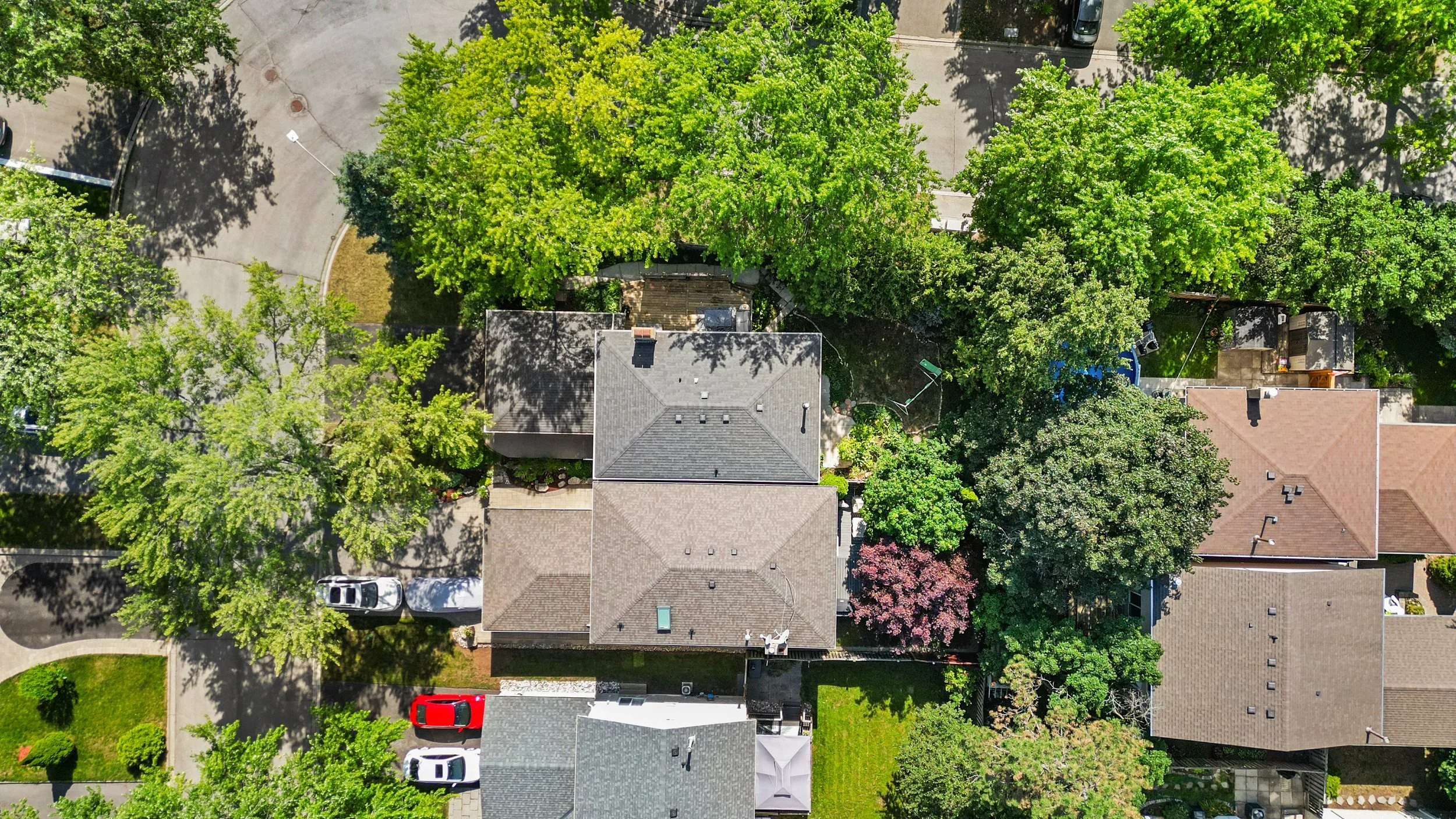 DJI_0875.jpg
