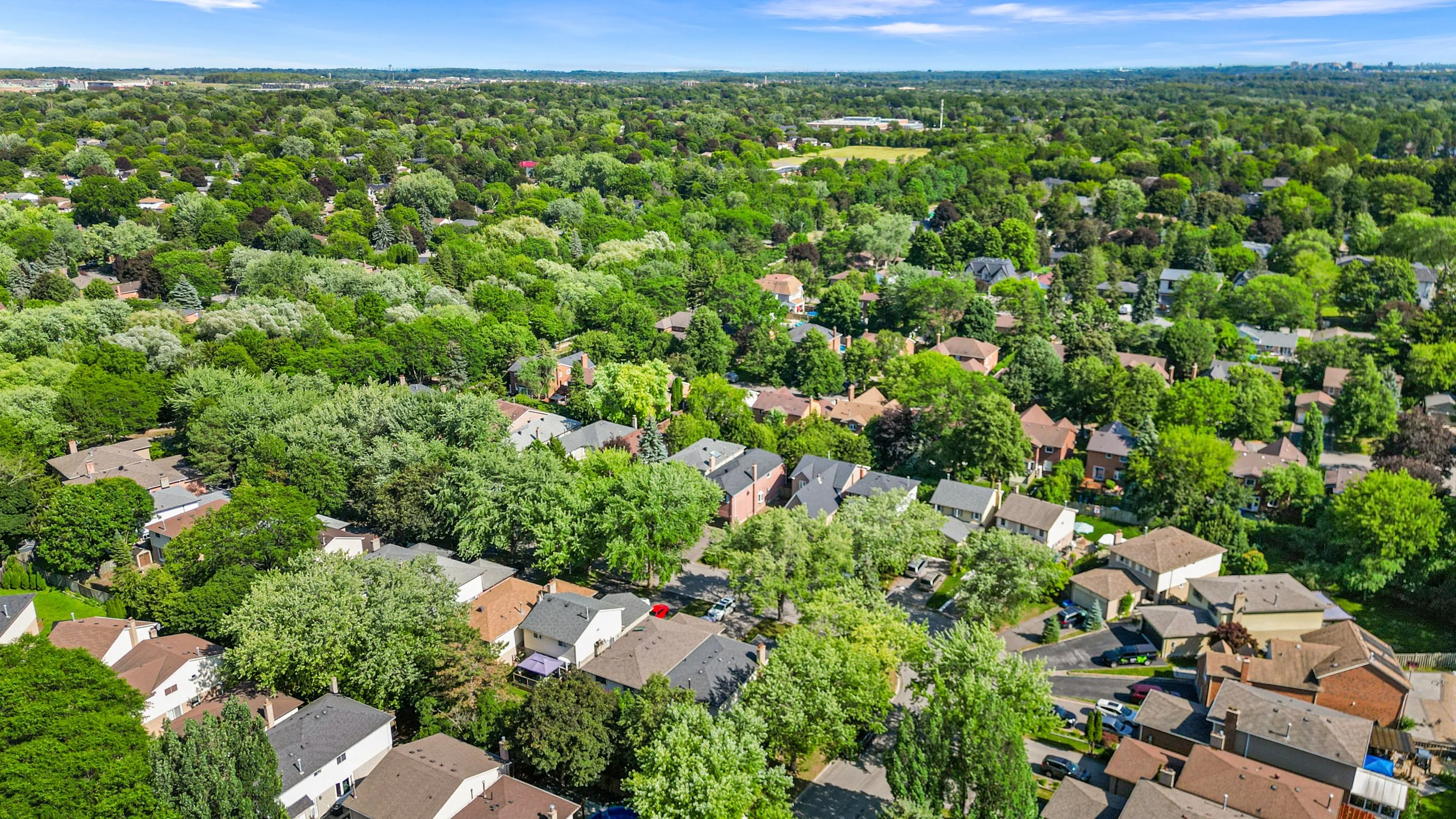DJI_0882.jpg