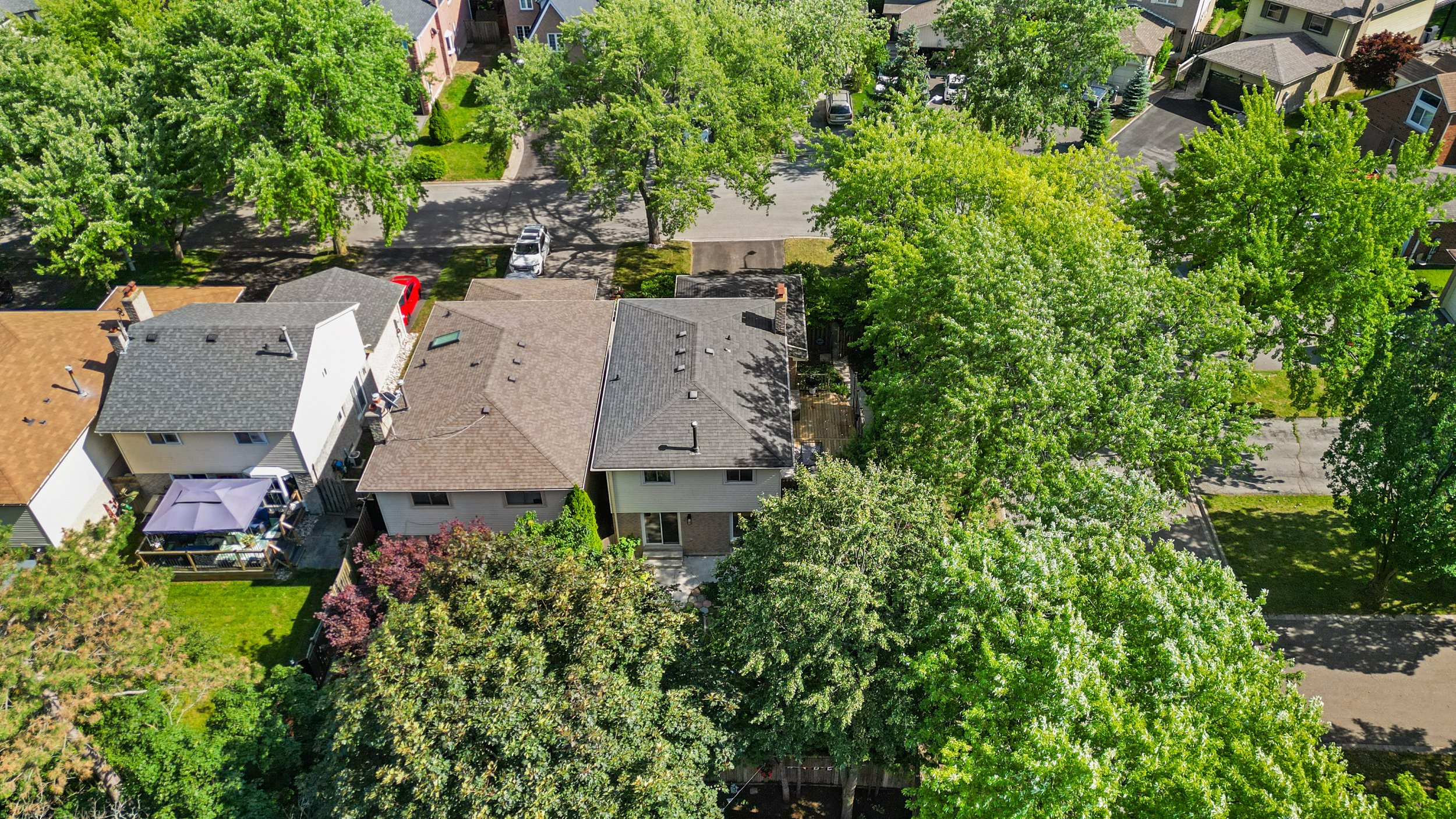 DJI_0878.jpg