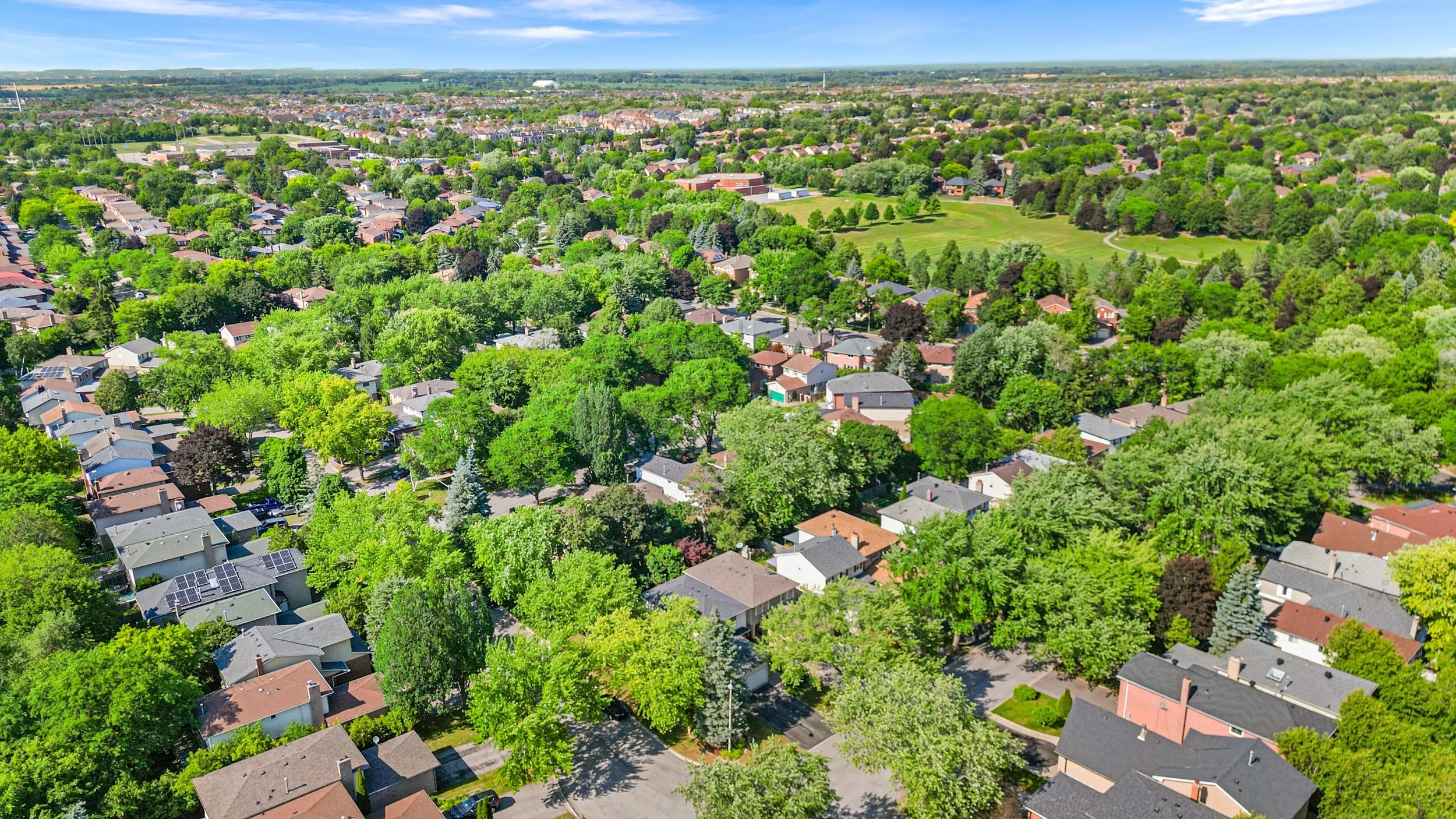DJI_0894.jpg