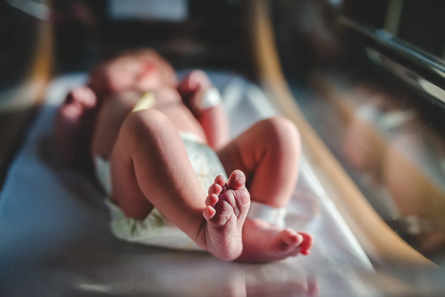 birthfresh48-0625.jpg