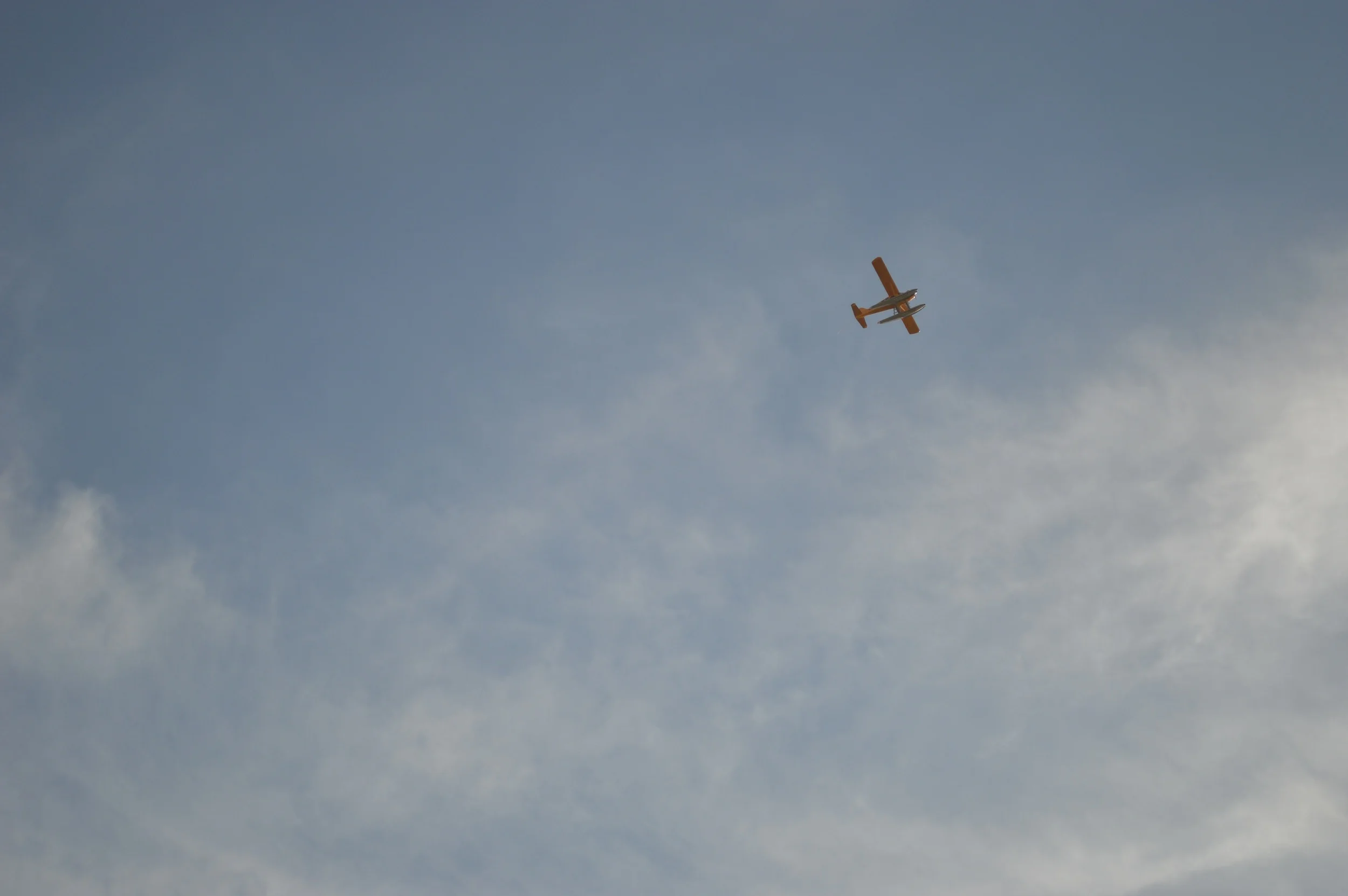DSC_0296.jpg