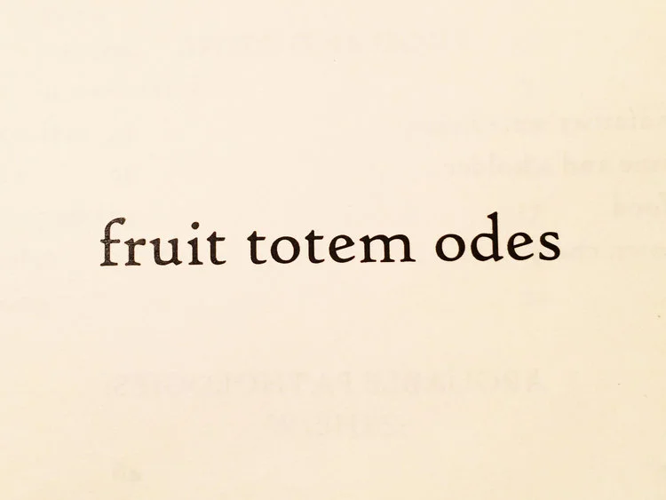 fruittotemodes1.jpg