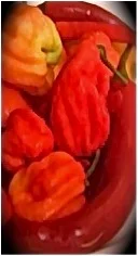 Chillies.jpg