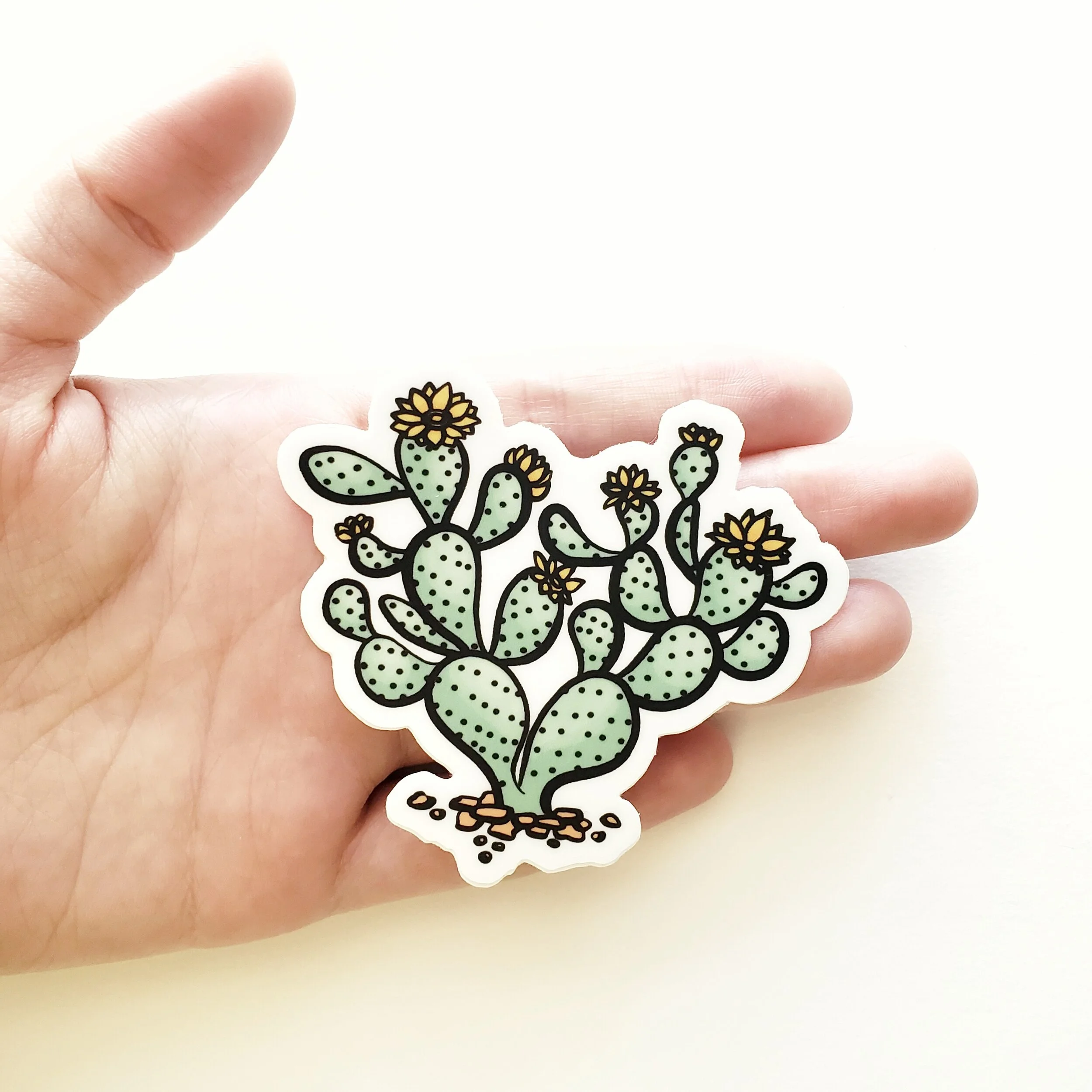 cactusstkr-hand.jpeg