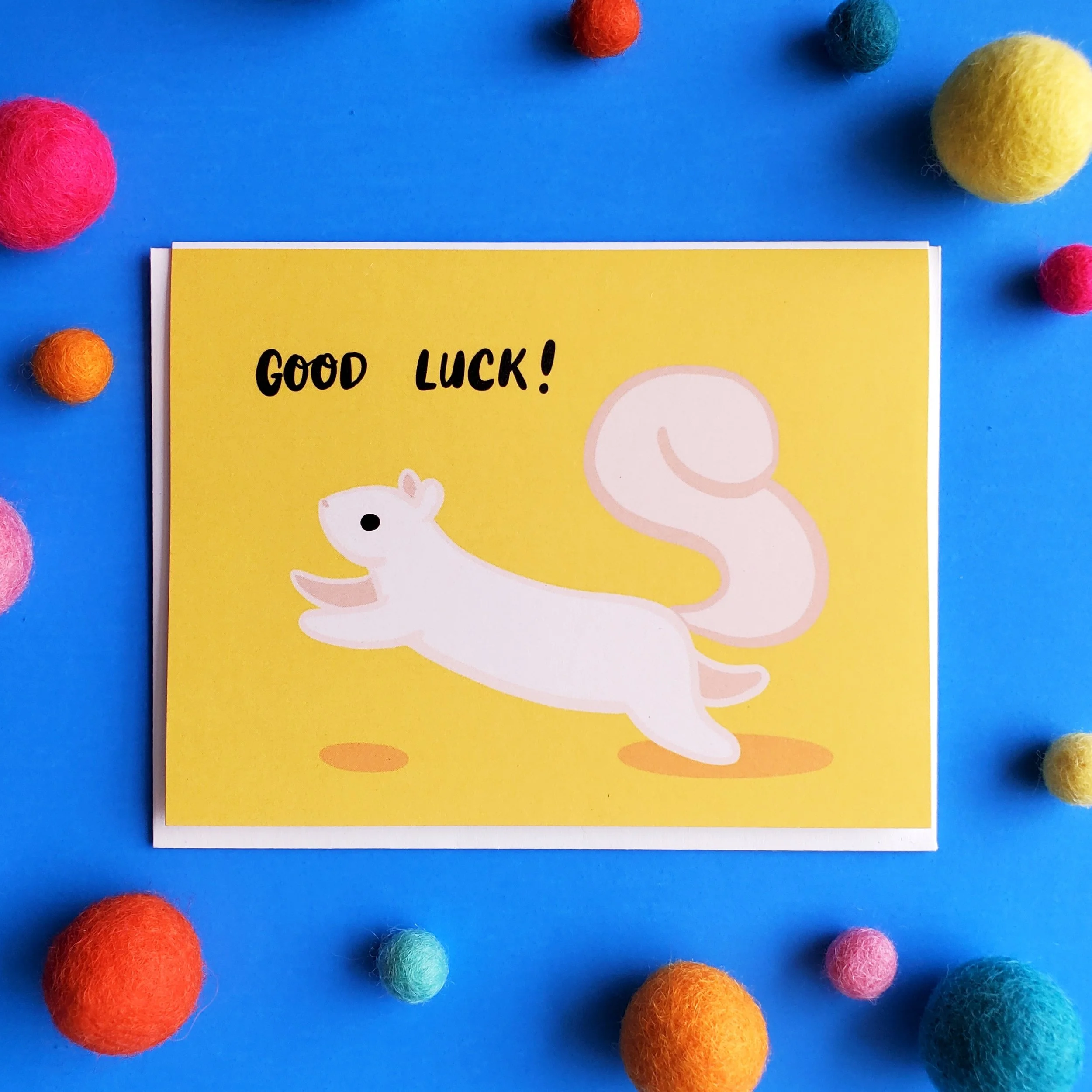 Lucky Squirrel.jpeg