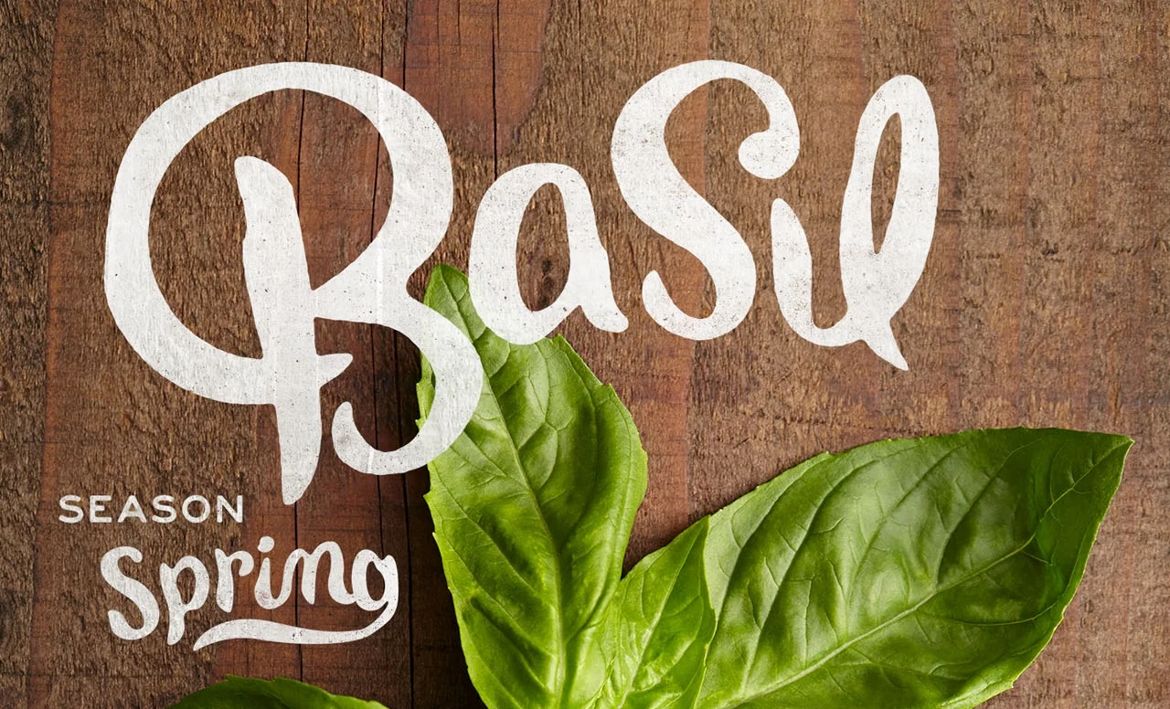 herb_hack_basil.jpg