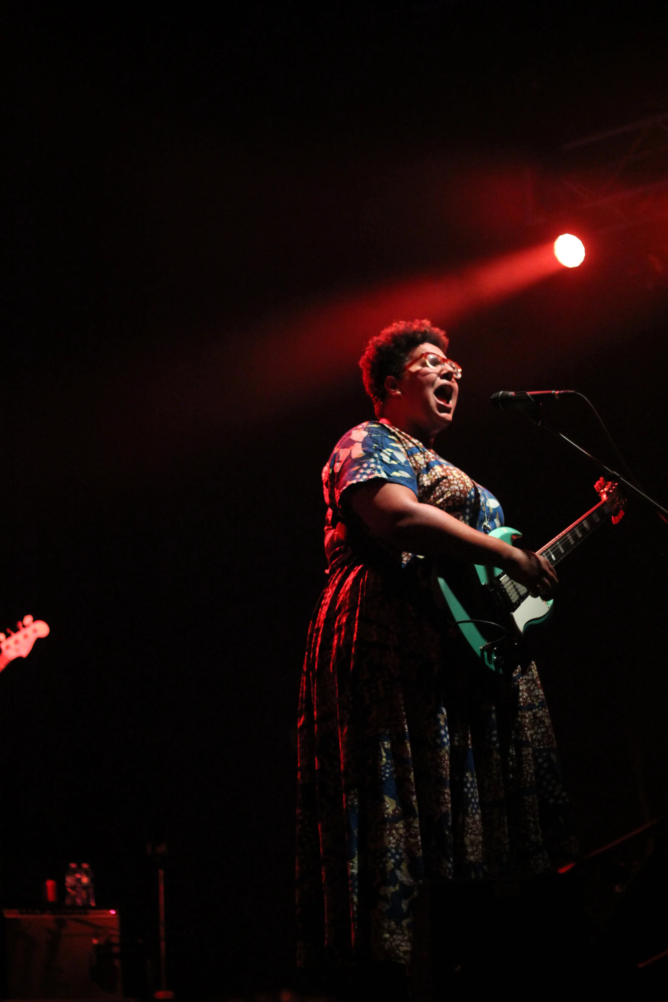 042716_AlabamaShakesConcert-20.jpg