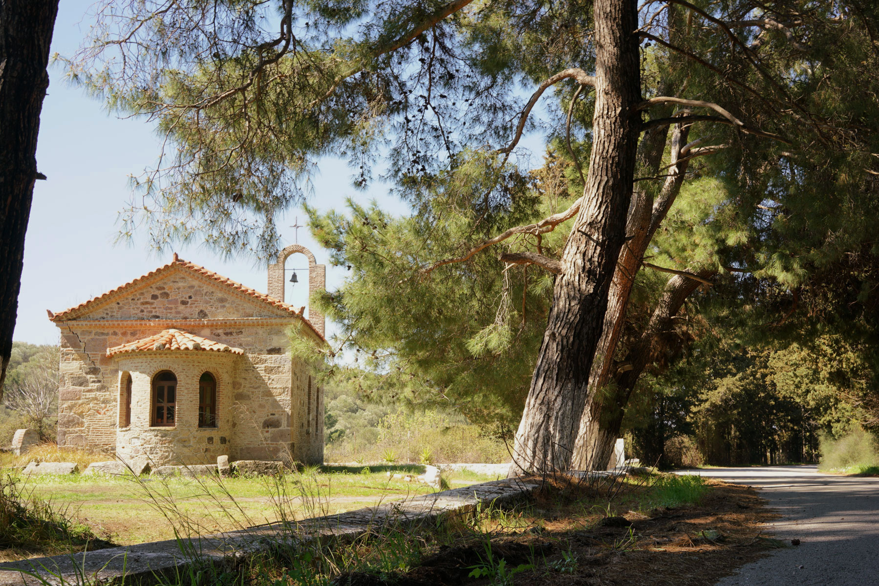 Church in ancient pine forest.