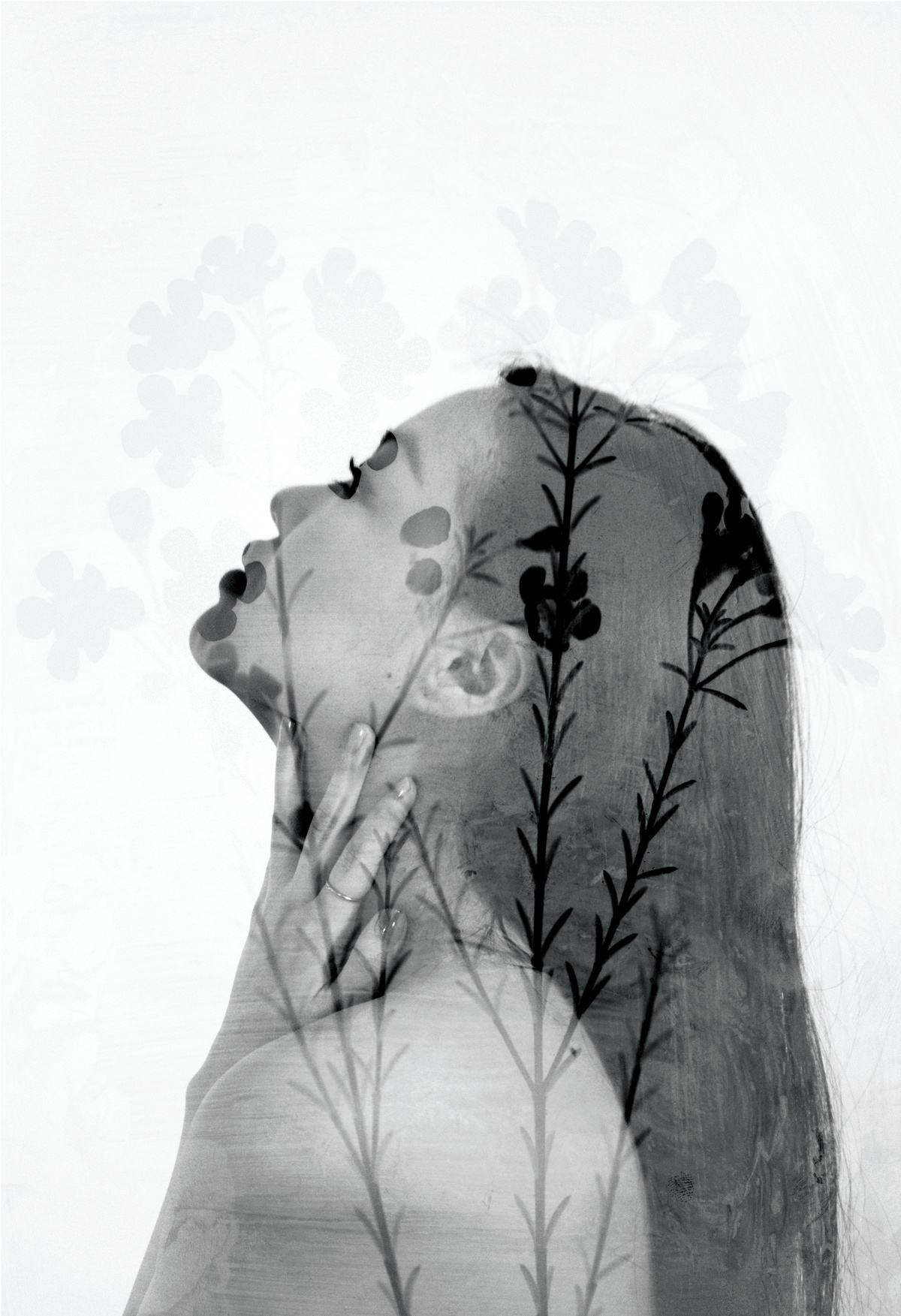 Floral X-Rays