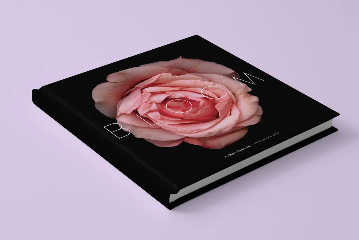 Bloom