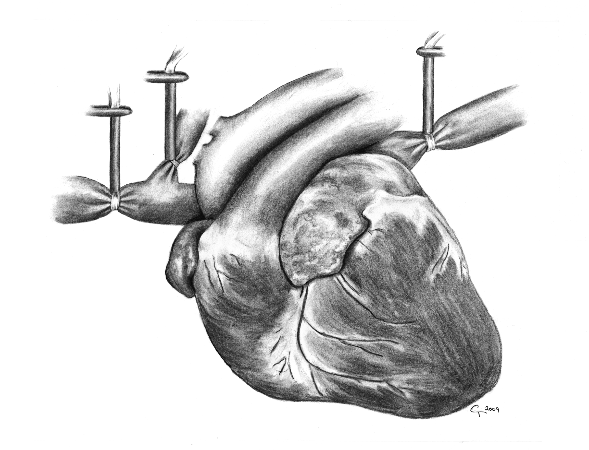 figure 1a.png