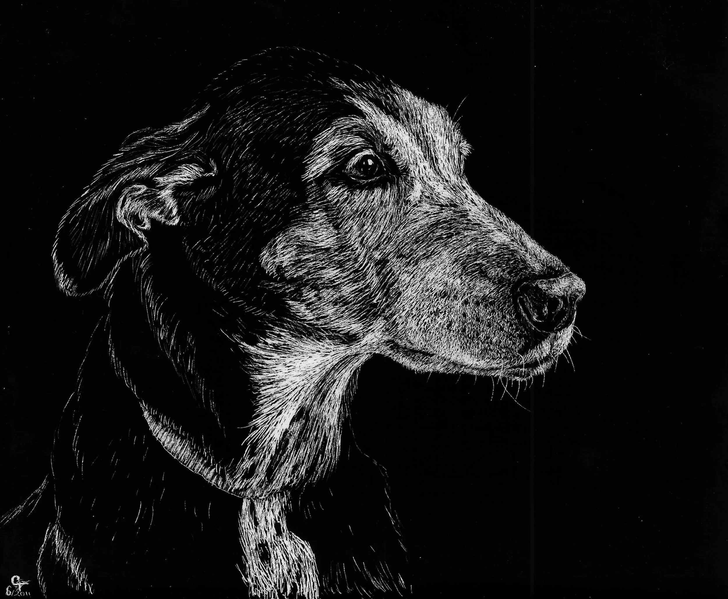 "Bella"