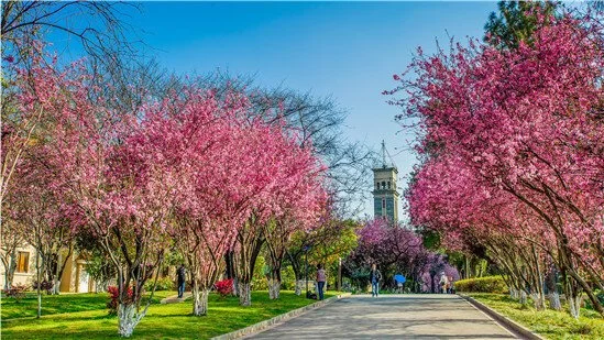 Poulenc Trio China Tour: Cultural Field Research