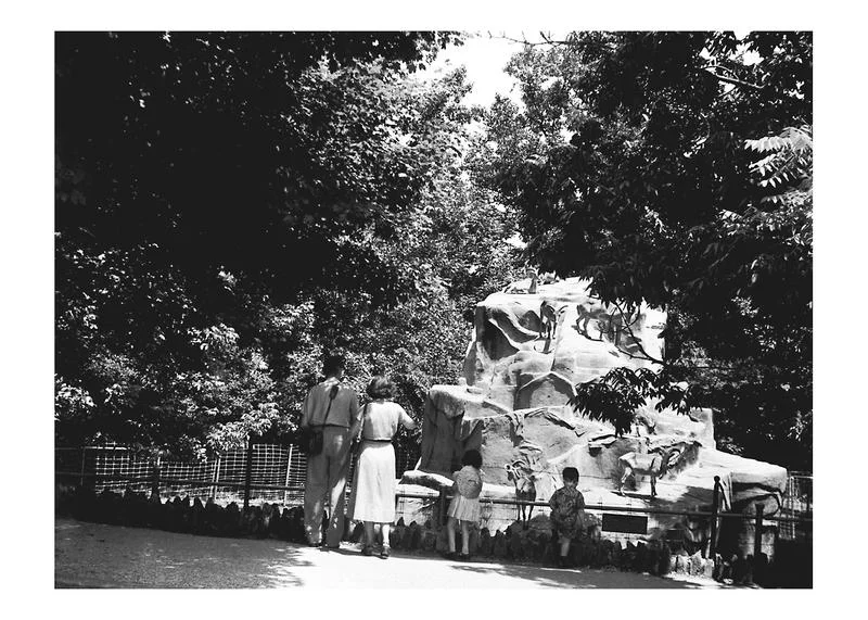 Antelope Rock at the National Zoological Park, ca 1951