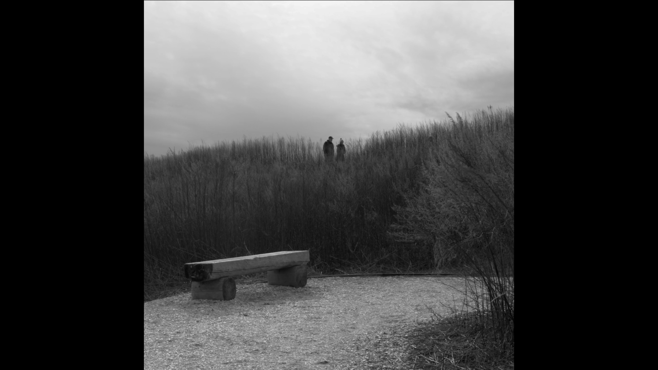 Landscapes Interrupted