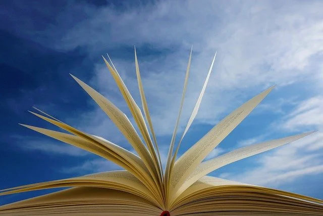 a-book-g8418ea912_640.jpg